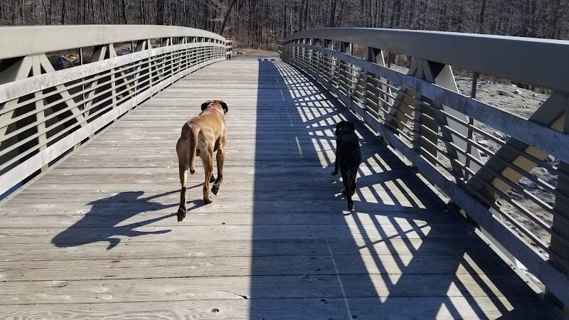 Rockaway River State Wildlife Management Area - Lake Hopatcong, NJ
