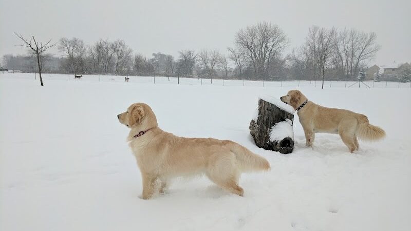 Bark Park - Lake in the Hills, IL