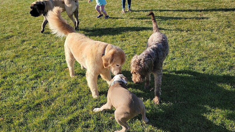 Bark Park - Lake in the Hills, IL