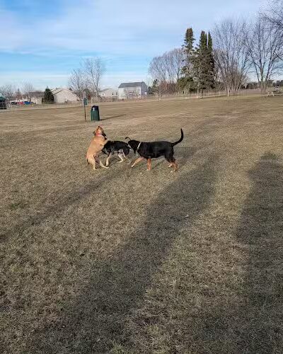 Bark Park - Lake in the Hills, IL