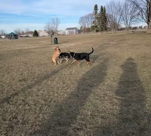 Bark Park - Lake in the Hills, IL