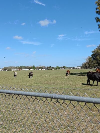 Lake Panasoffkee Dog Park - Lake Panasoffkee, FL