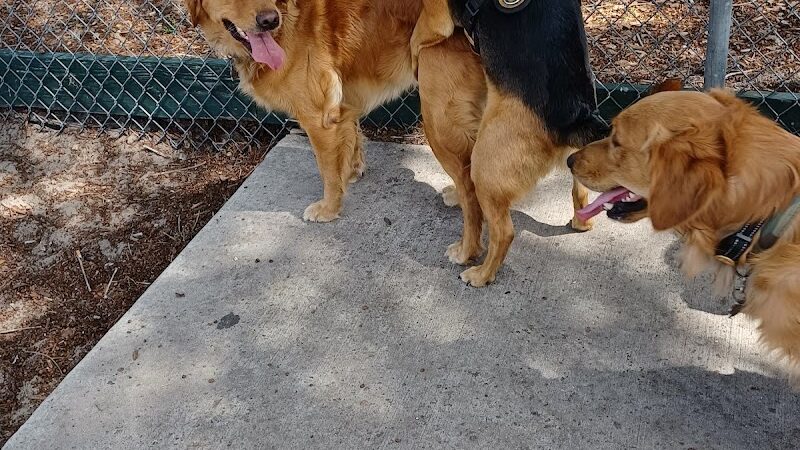 Lake Panasoffkee Dog Park - Lake Panasoffkee, FL