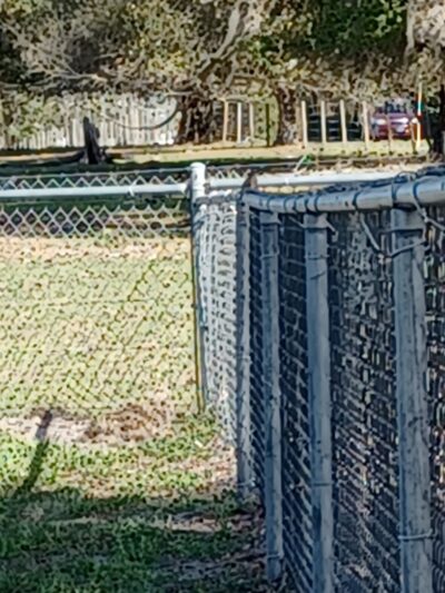 Lake Panasoffkee Dog Park - Lake Panasoffkee, FL