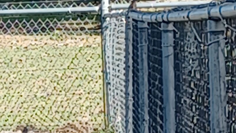 Lake Panasoffkee Dog Park - Lake Panasoffkee, FL