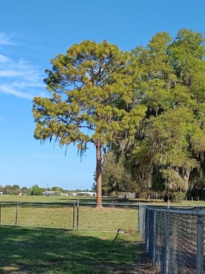 Lake Panasoffkee Dog Park - Lake Panasoffkee, FL