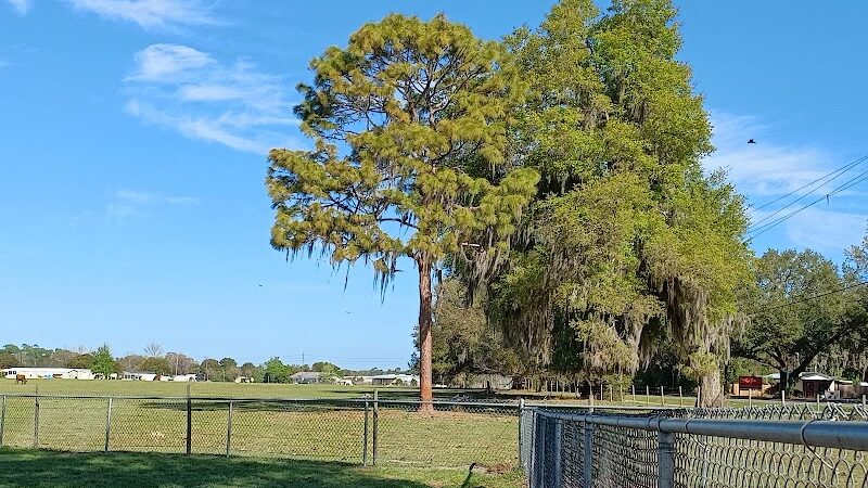 Lake Panasoffkee Dog Park - Lake Panasoffkee, FL