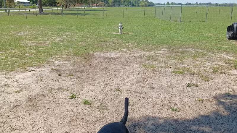 Lake Panasoffkee Dog Park - Lake Panasoffkee, FL