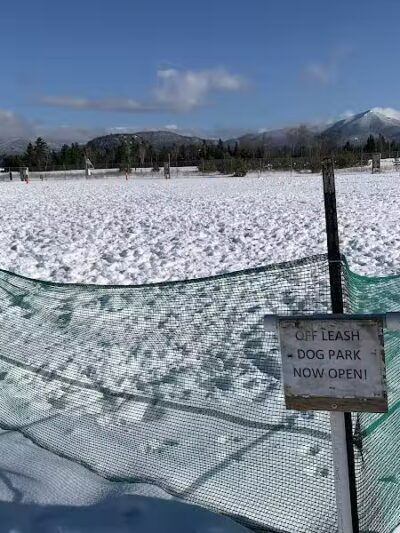Off Leash Dog Area - Lake Placid, NY