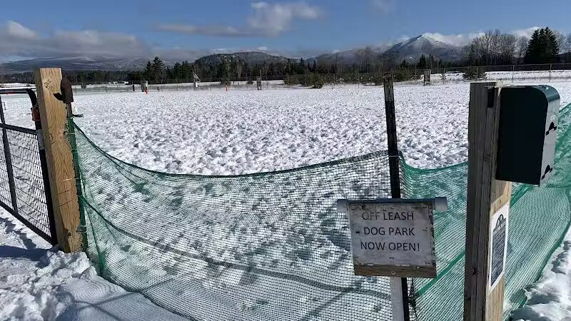 Off Leash Dog Area - Lake Placid, NY