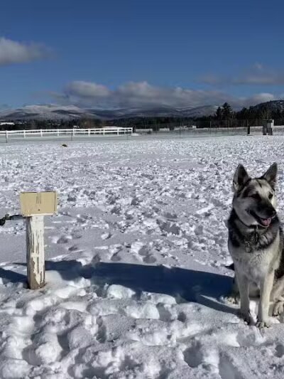 Off Leash Dog Area - Lake Placid, NY