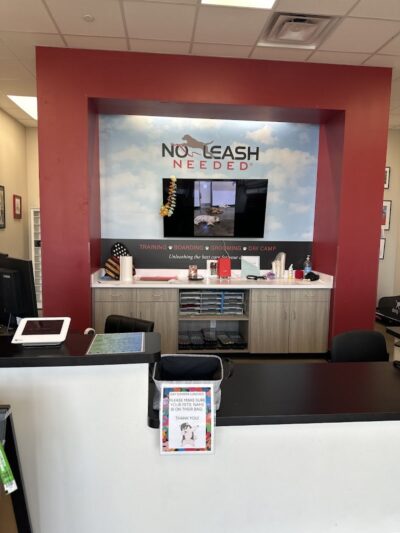 No Leash Needed - Lake St Louis, MO