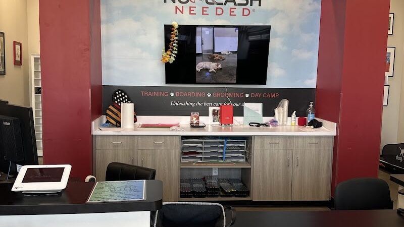 No Leash Needed - Lake St Louis, MO