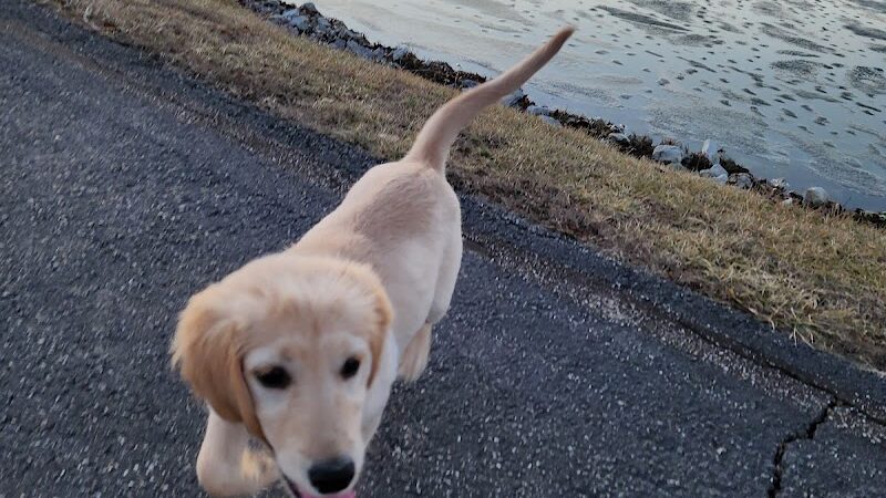 Zachary's Playground - Lake St Louis, MO