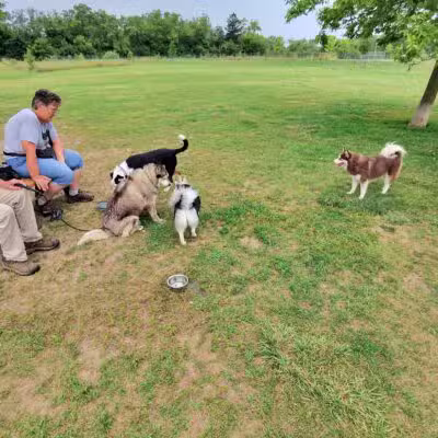 Duck Farm Off-Leash Dog Area - Lake Villa, IL