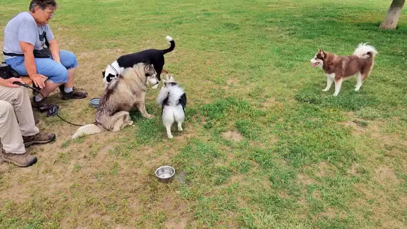 Duck Farm Off-Leash Dog Area - Lake Villa, IL