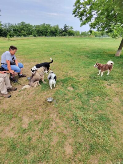 Duck Farm Off-Leash Dog Area - Lake Villa, IL