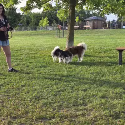 Duck Farm Off-Leash Dog Area - Lake Villa, IL