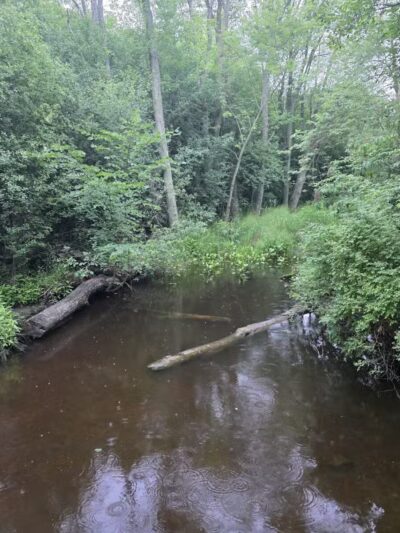 Duck Farm Off-Leash Dog Area - Lake Villa, IL
