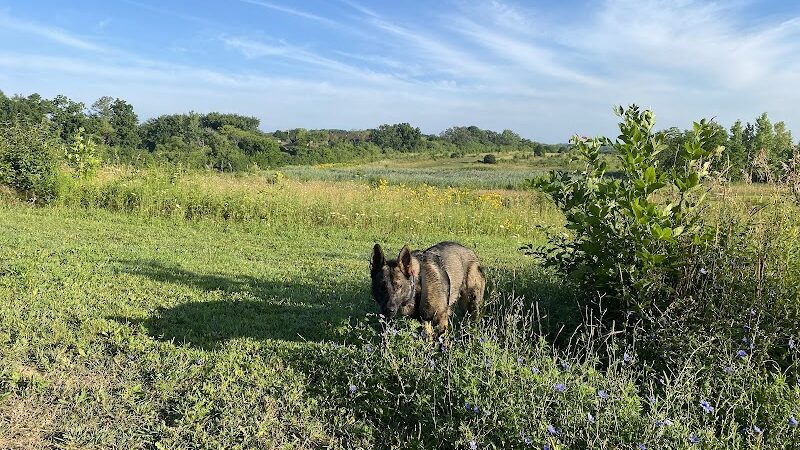 Duck Farm Off-Leash Dog Area - Lake Villa, IL