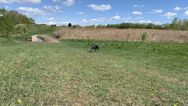 Duck Farm Off-Leash Dog Area - Lake Villa, IL