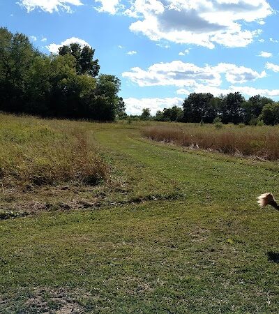 Duck Farm Off-Leash Dog Area - Lake Villa, IL