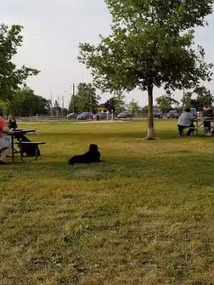Duck Farm Off-Leash Dog Area - Lake Villa, IL