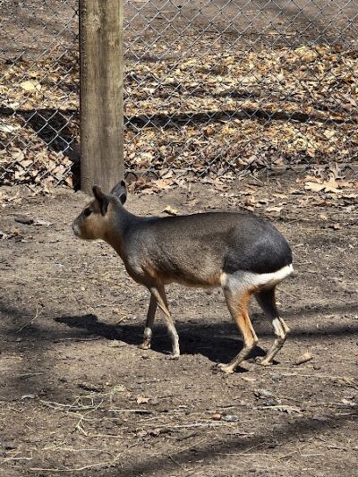 Sandy Oak Ranch - Lake Village, IN