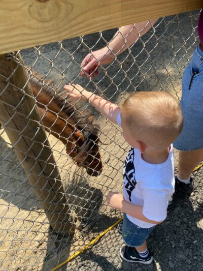 Sandy Oak Ranch - Lake Village, IN