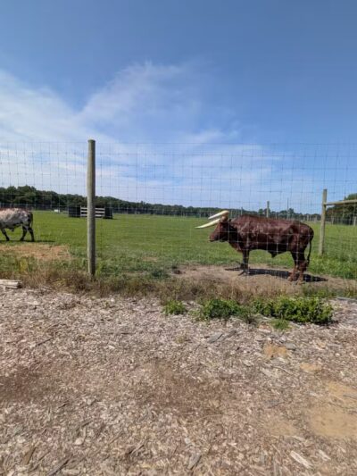 Sandy Oak Ranch - Lake Village, IN