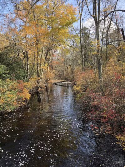 Lake Horicon Park - Lakehurst, NJ