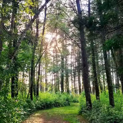 Lake Horicon Park - Lakehurst, NJ