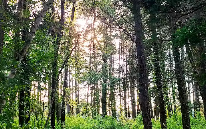 Lake Horicon Park - Lakehurst, NJ