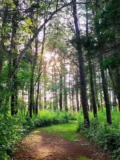 Lake Horicon Park - Lakehurst, NJ