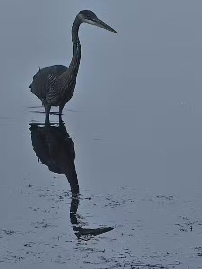 Lake Horicon Park - Lakehurst, NJ