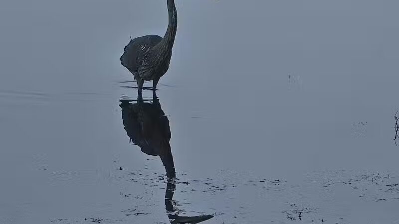 Lake Horicon Park - Lakehurst, NJ