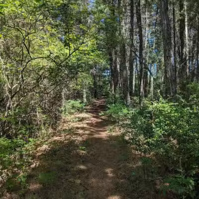 Lake Horicon Park - Lakehurst, NJ