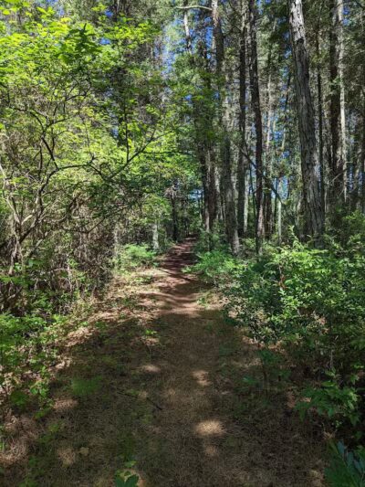 Lake Horicon Park - Lakehurst, NJ