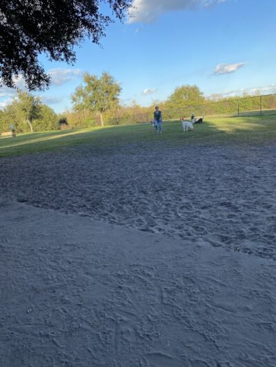 Cook Park Dog Park - Lakeland, FL