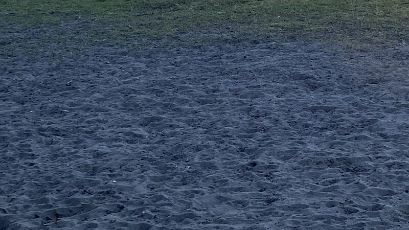 Cook Park Dog Park - Lakeland, FL