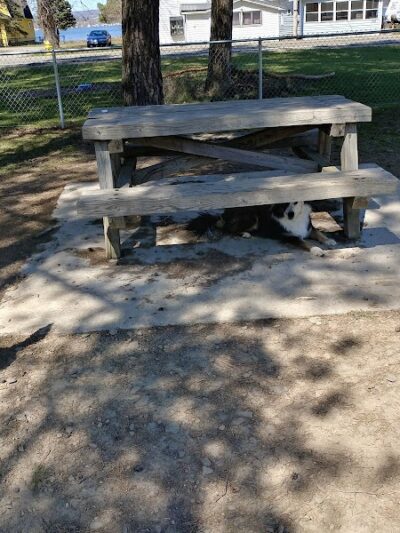 Lakewood Dog Park - Lakewood, NY