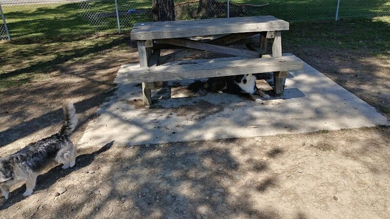 Lakewood Dog Park - Lakewood, NY