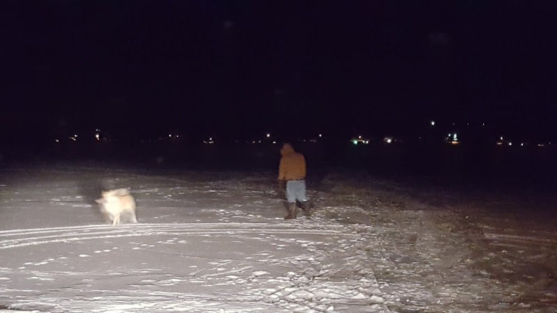 Lakewood Dog Park - Lakewood, NY