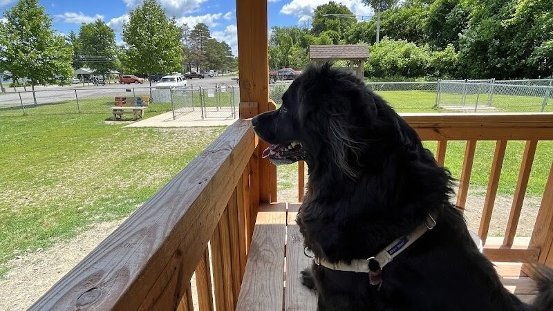 Lakewood Dog Park - Lakewood, NY
