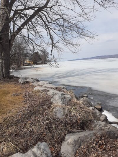 Lakewood Dog Park - Lakewood, NY