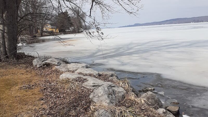 Lakewood Dog Park - Lakewood, NY