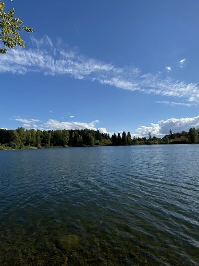 Fort Steilacoom Dog Park - Lakewood, WA