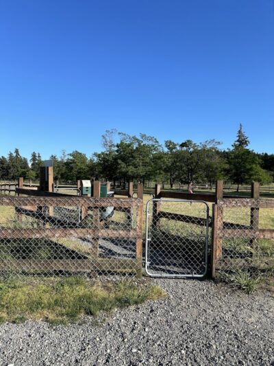 Fort Steilacoom Dog Park - Lakewood, WA