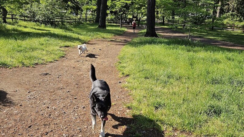 Fort Steilacoom Dog Park - Lakewood, WA