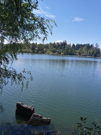 Fort Steilacoom Dog Park - Lakewood, WA